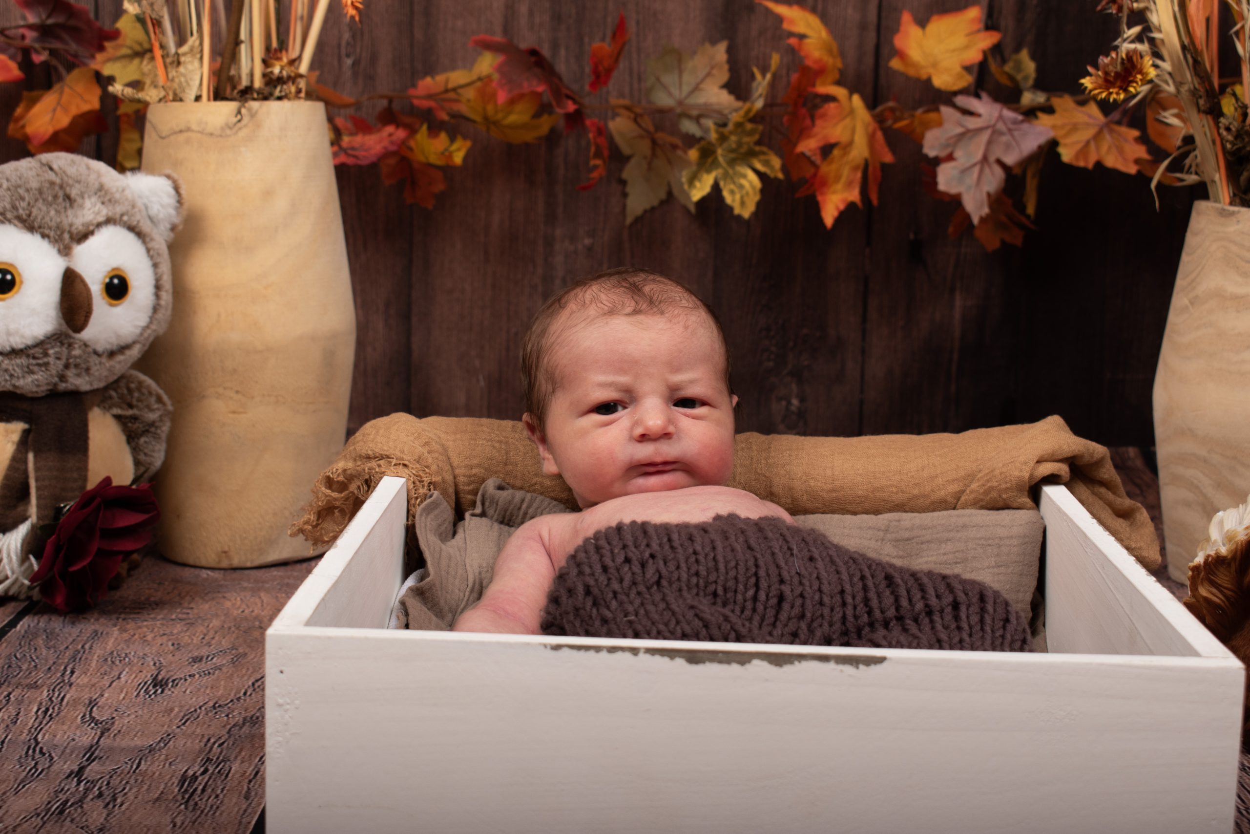 bébé prend la pose