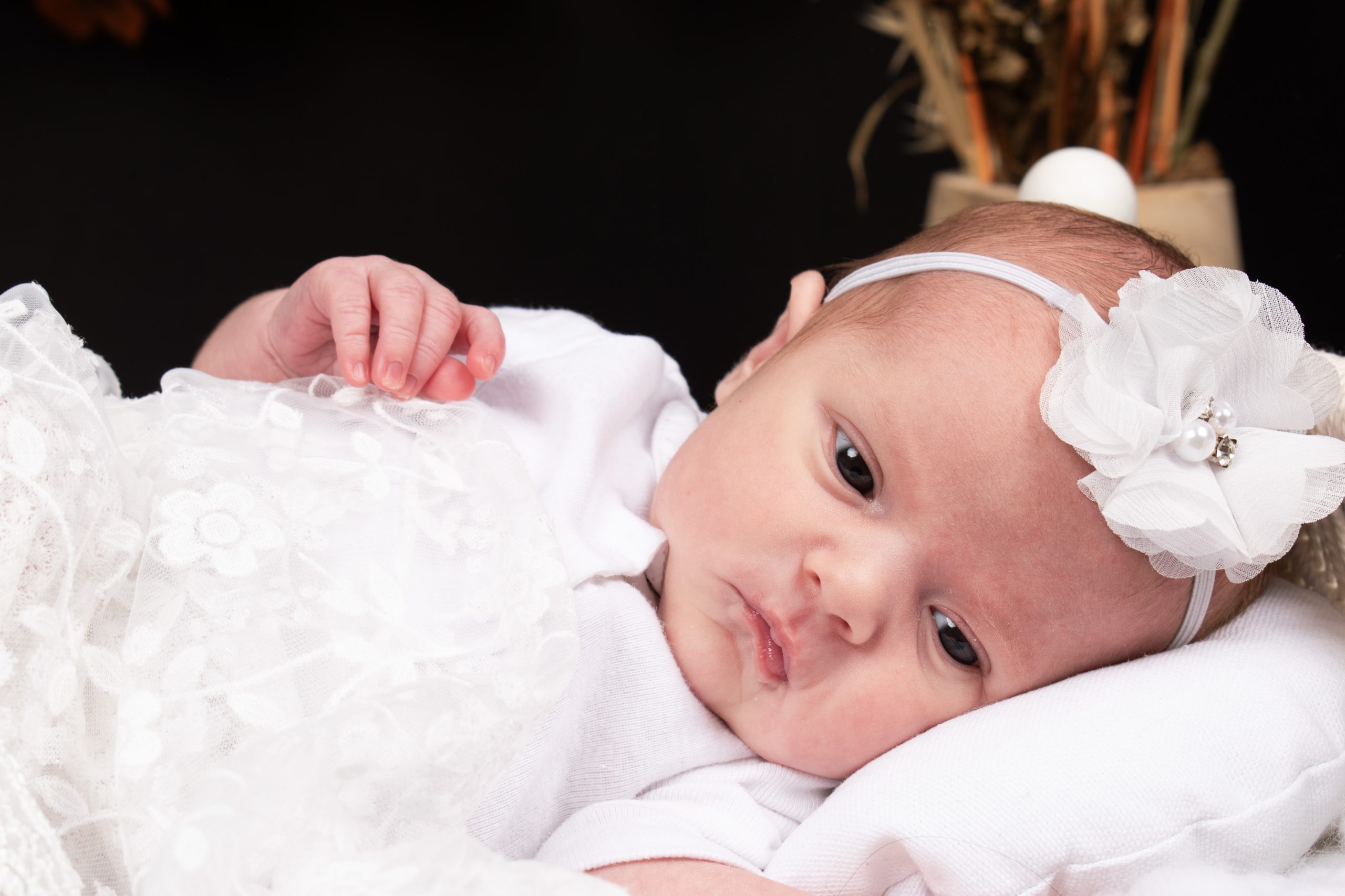 bébé shooting naissance