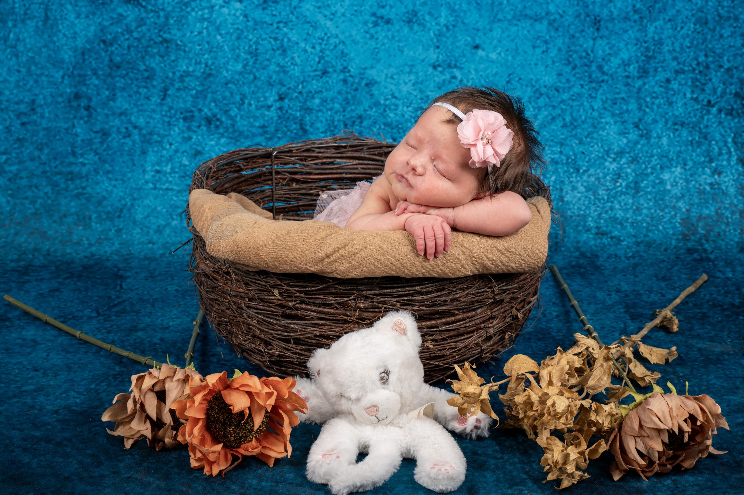 photos de bébé au home studio dans un contenant